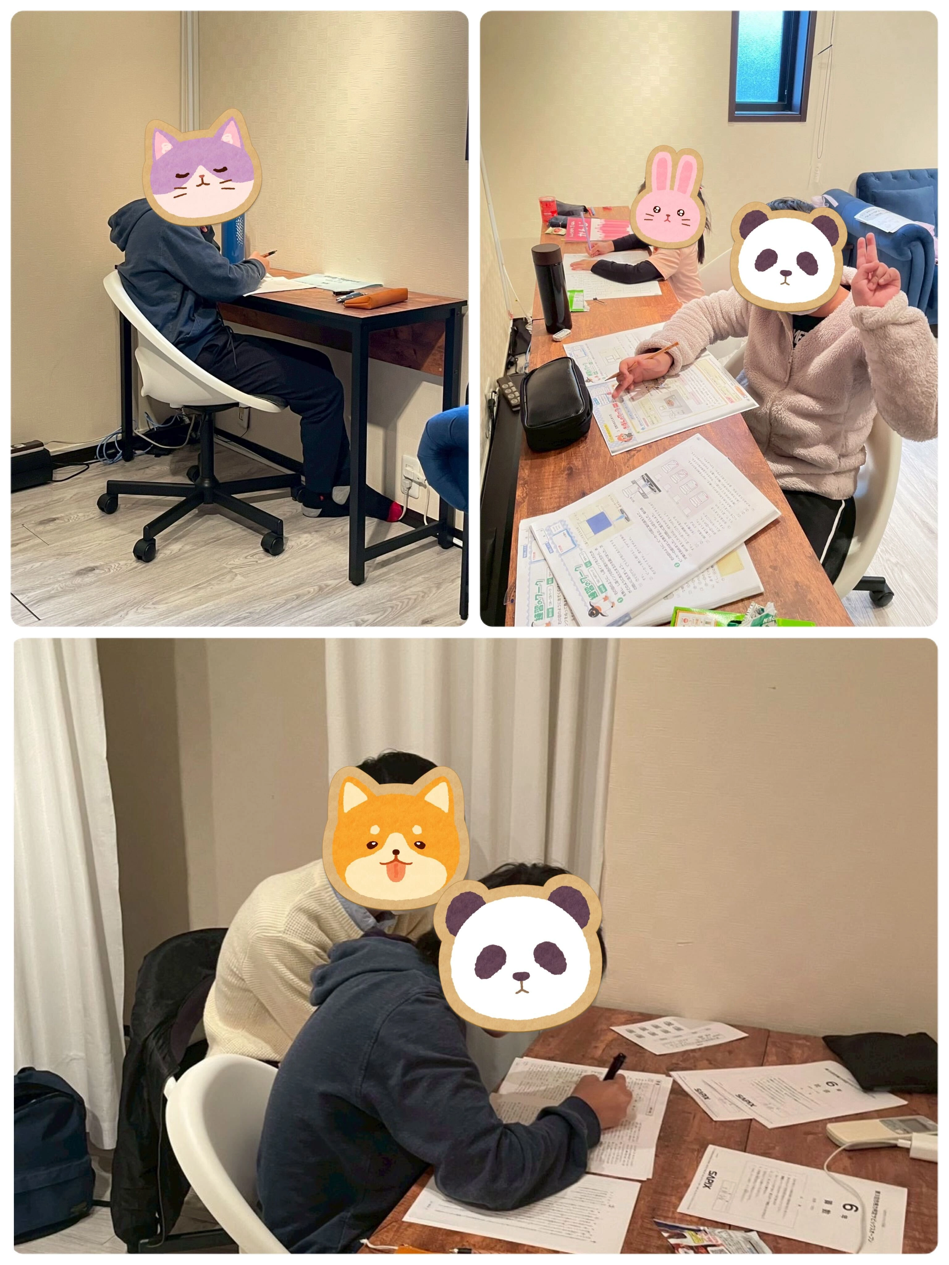 勉強会で学習に取り組む様子